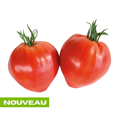TOMATE DIAMANDIA F1 - 3 GODETS