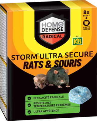 RATS ET SOURIS BLOCS
