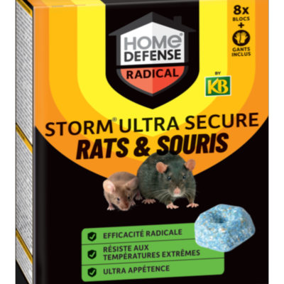 RATS ET SOURIS BLOCS