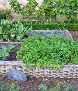 potager extrieur