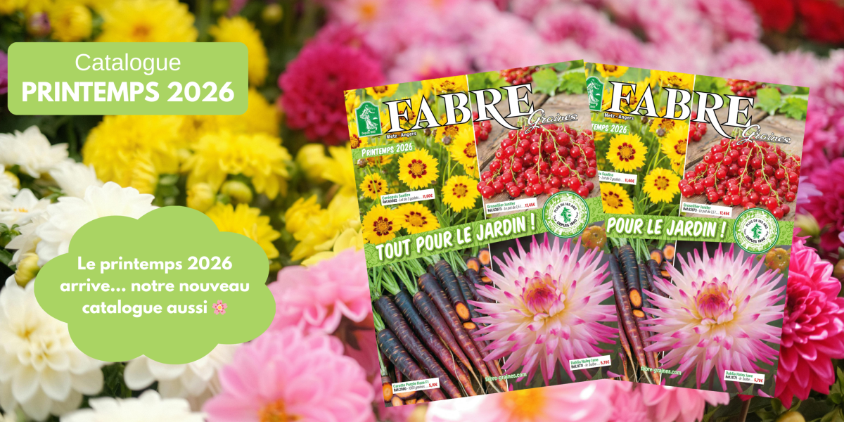 Catalogue Printemps 2025 de Fabre Graines