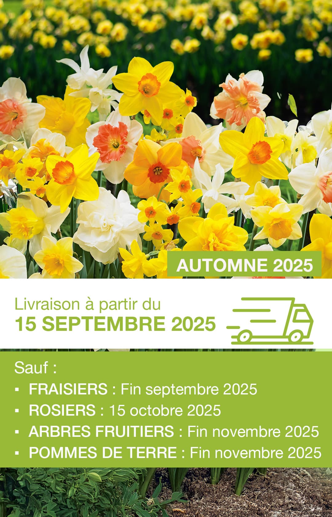 Inscription newsletter