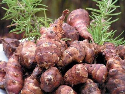 crosnes du japon