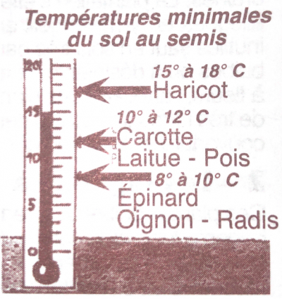 indication de températures pour semis