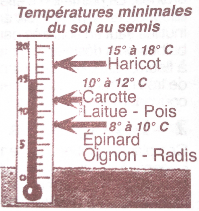 indication de tempratures pour semis